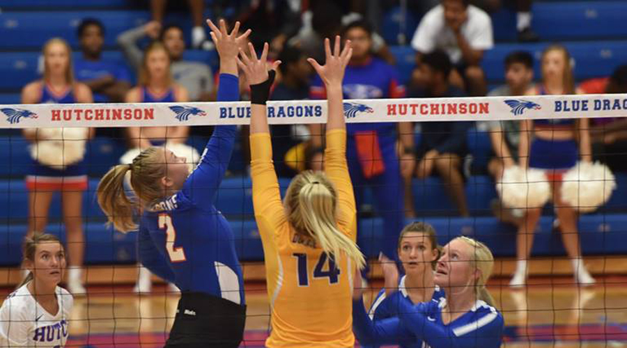 Blue Dragon Volleyball takes on Garden City at 5 p.m. on Saturday at the Sports Arena. (Casey Bailey/Blue Dragon Sports Information)